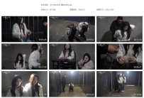 【YSYN0298】禁物之渊