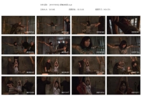 【HJYY0066】舒逸老虎凳